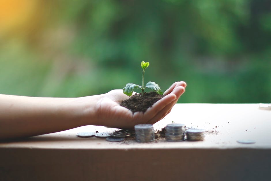 A hand cradles a young plant above coins, symbolizing financial growth and sustainability.