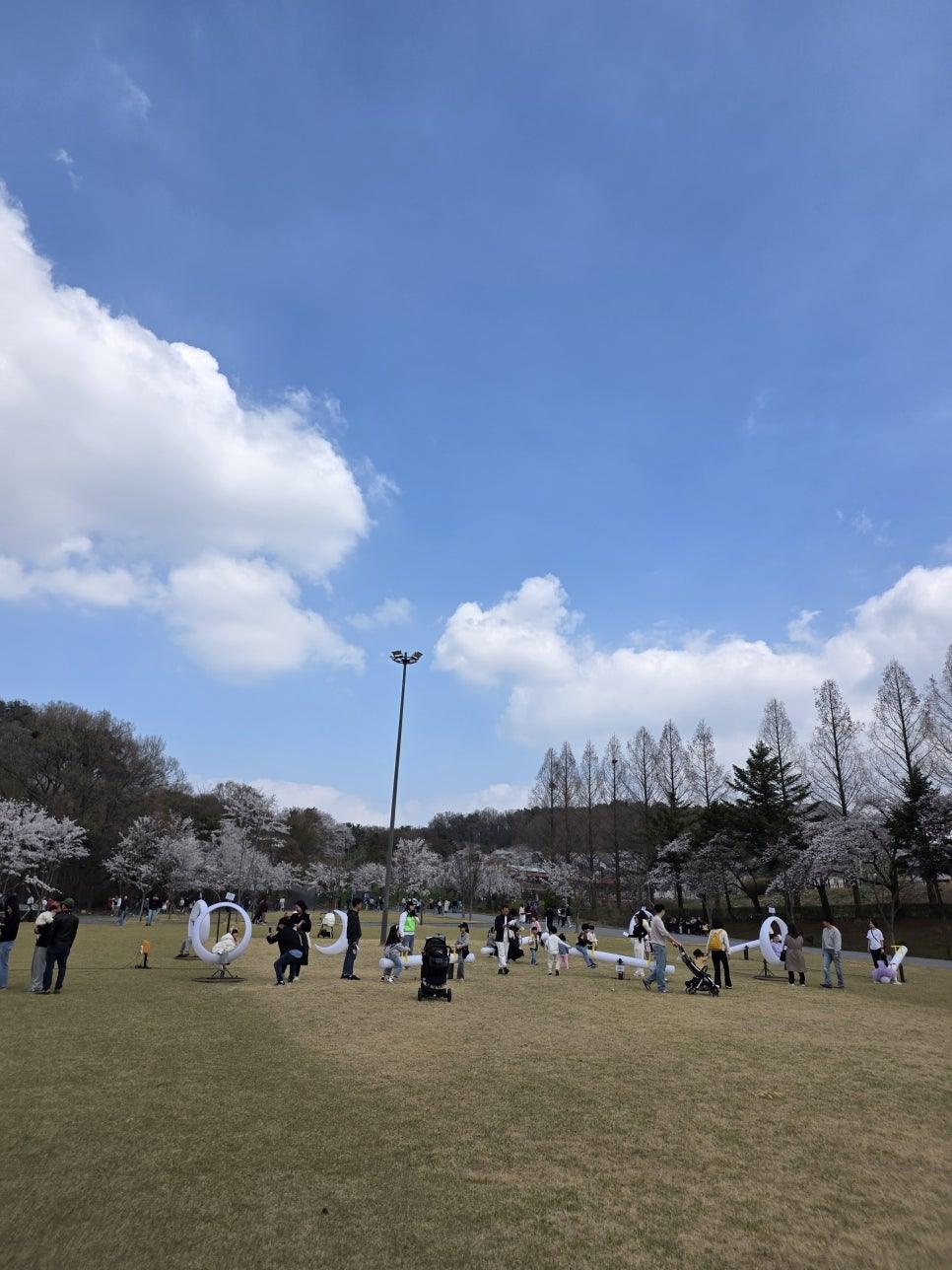 바람 불 때 흩날리는 서울대공원 벚꽃 비