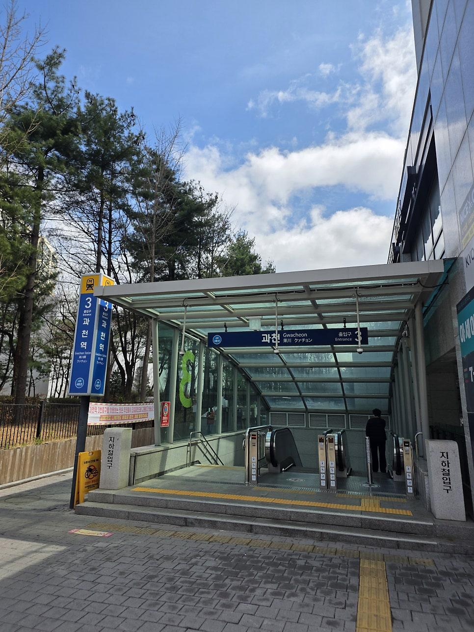 서울대공원 호수 둘레길 벚꽃 터널 전경