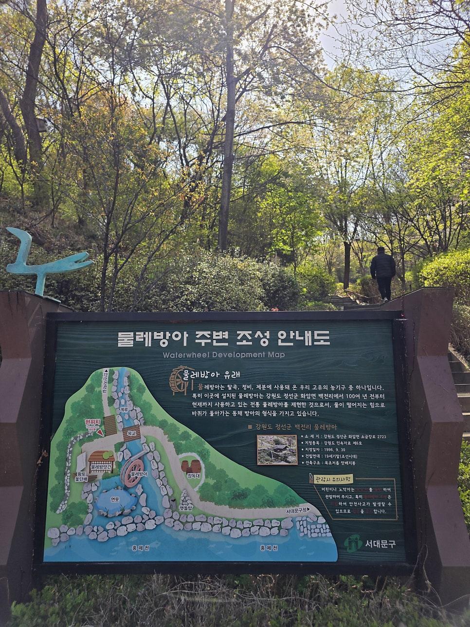 햇살을 받아 반짝이는 폭포 주변의 숲길