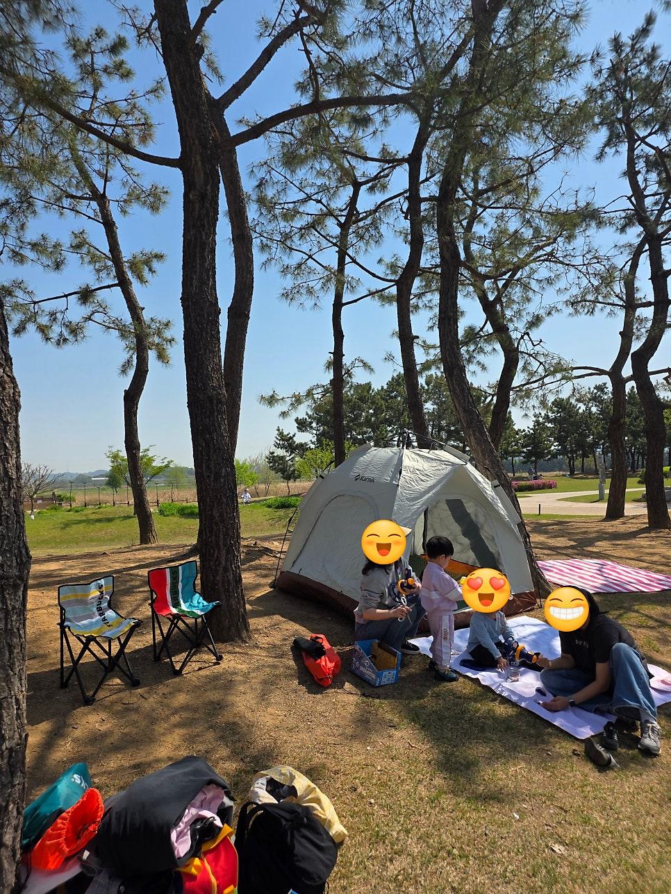 아름다운 갈대밭 사이 길