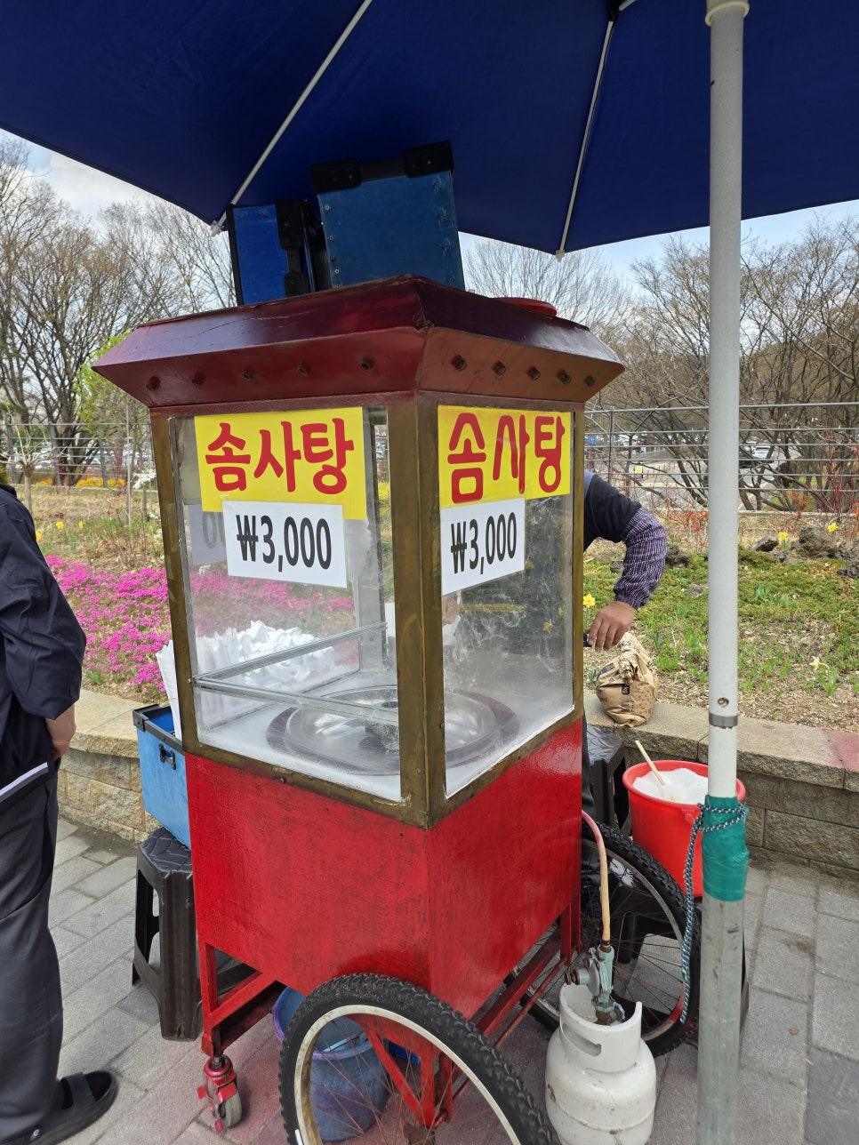내년 벚꽃 시즌 기약하며 가족 봄나들이 마무리