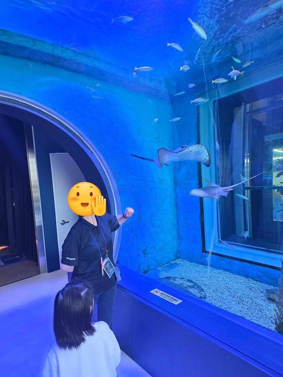 입장을 기다리는 관람객들의 모습