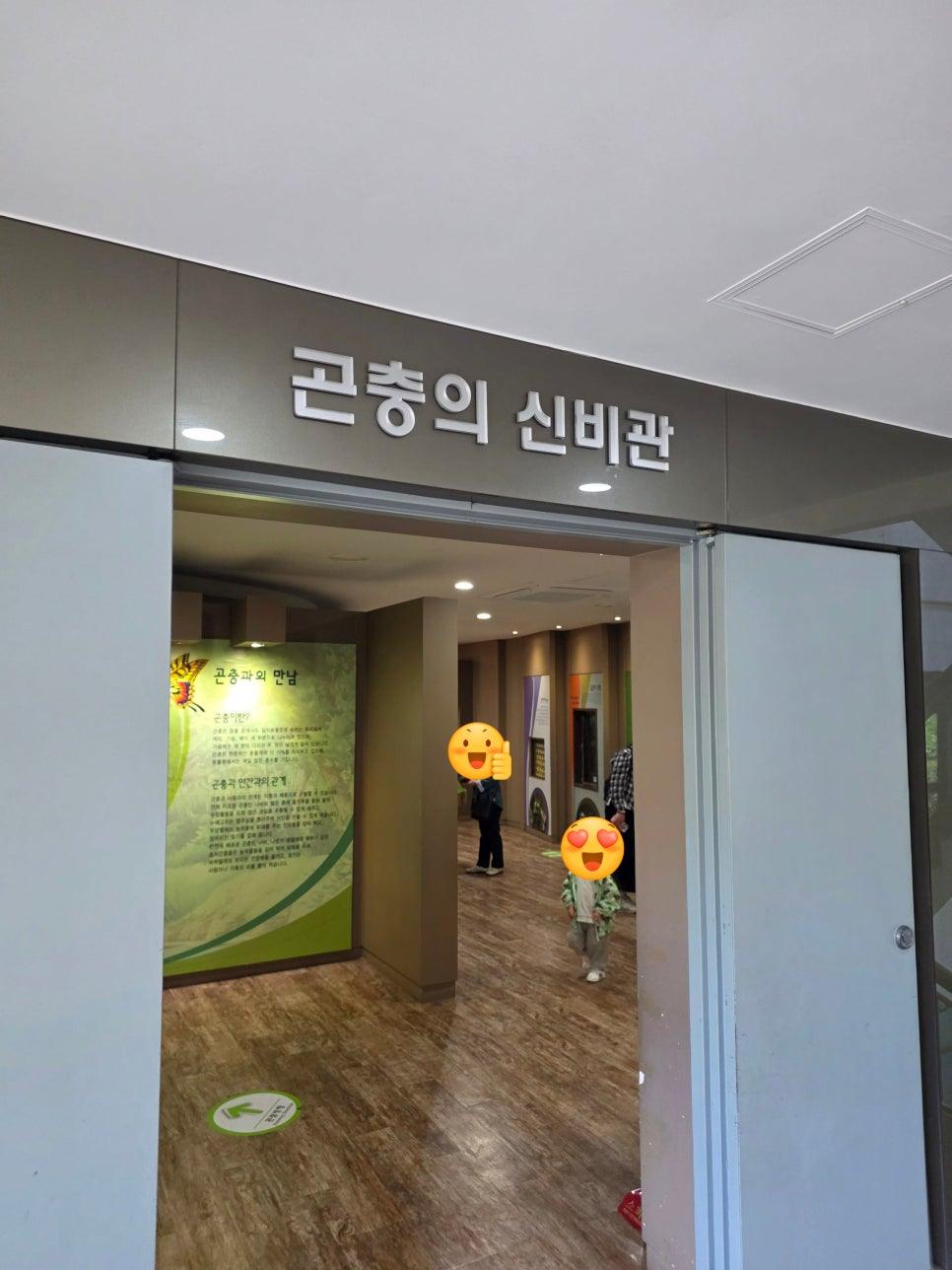 다양한 나비 표본 전시