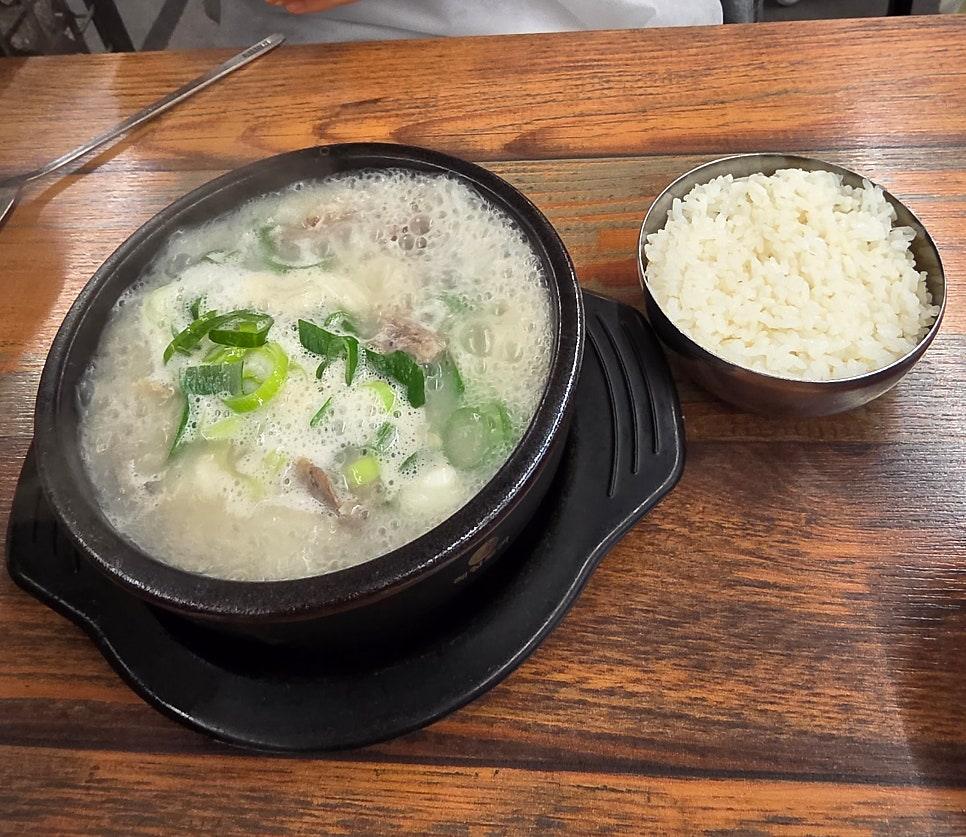 직접 촬영한 도심 속 자연 탐험, 부천자연생태공원 산책로 풍경