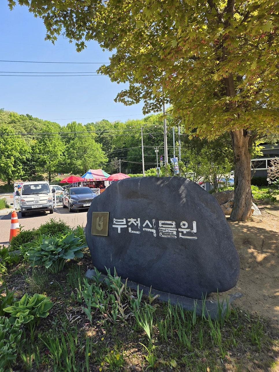 능선을 따라 걷는 숲속 트레킹 코스