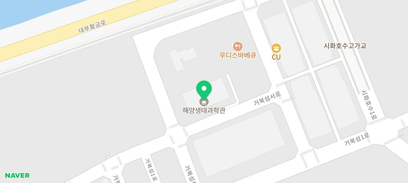 시흥 거북섬 일대 도로 풍경