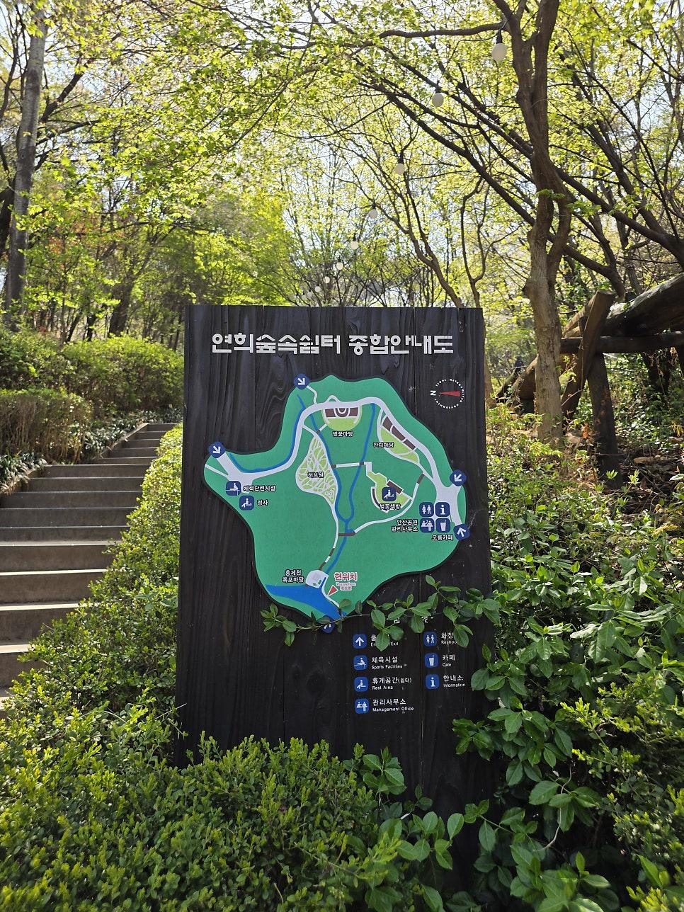 산책 중 만나는 예쁜 꽃과 식물들