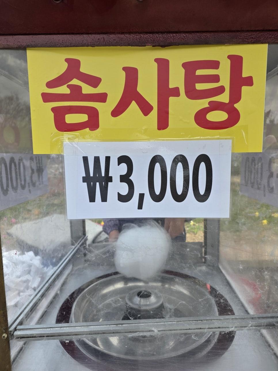지루할 틈 없는 서울대공원 어린이 놀이 공간