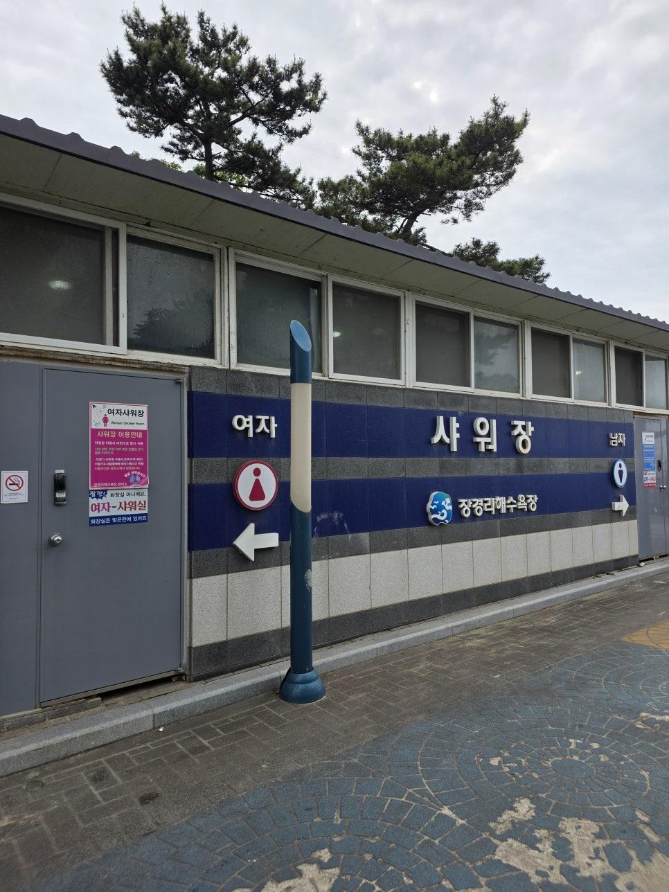 저녁 식사를 준비하는 캠핑장의 활기찬 모습