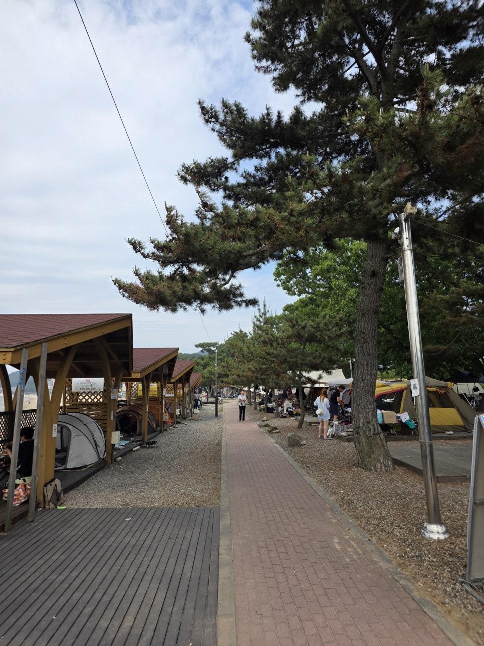 아침 햇살이 비추는 맑은 해변 전경