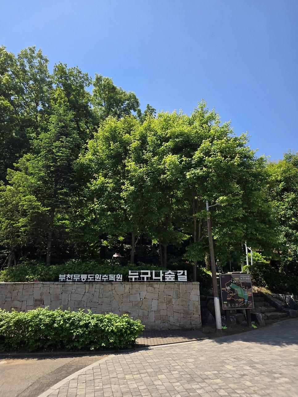 푸른 나무로 둘러싸인 잔디 광장