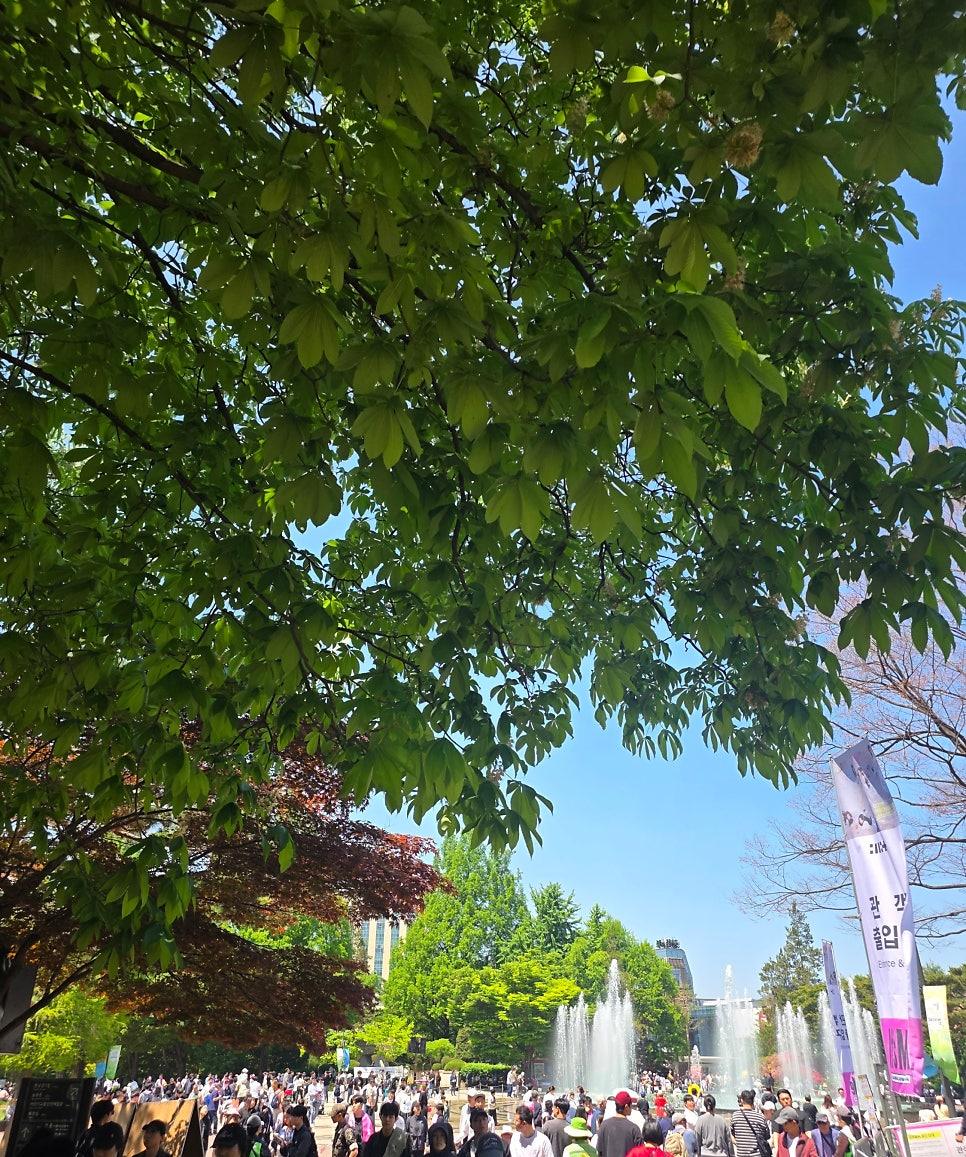 아일릿 무대 리허설 현장 환호성