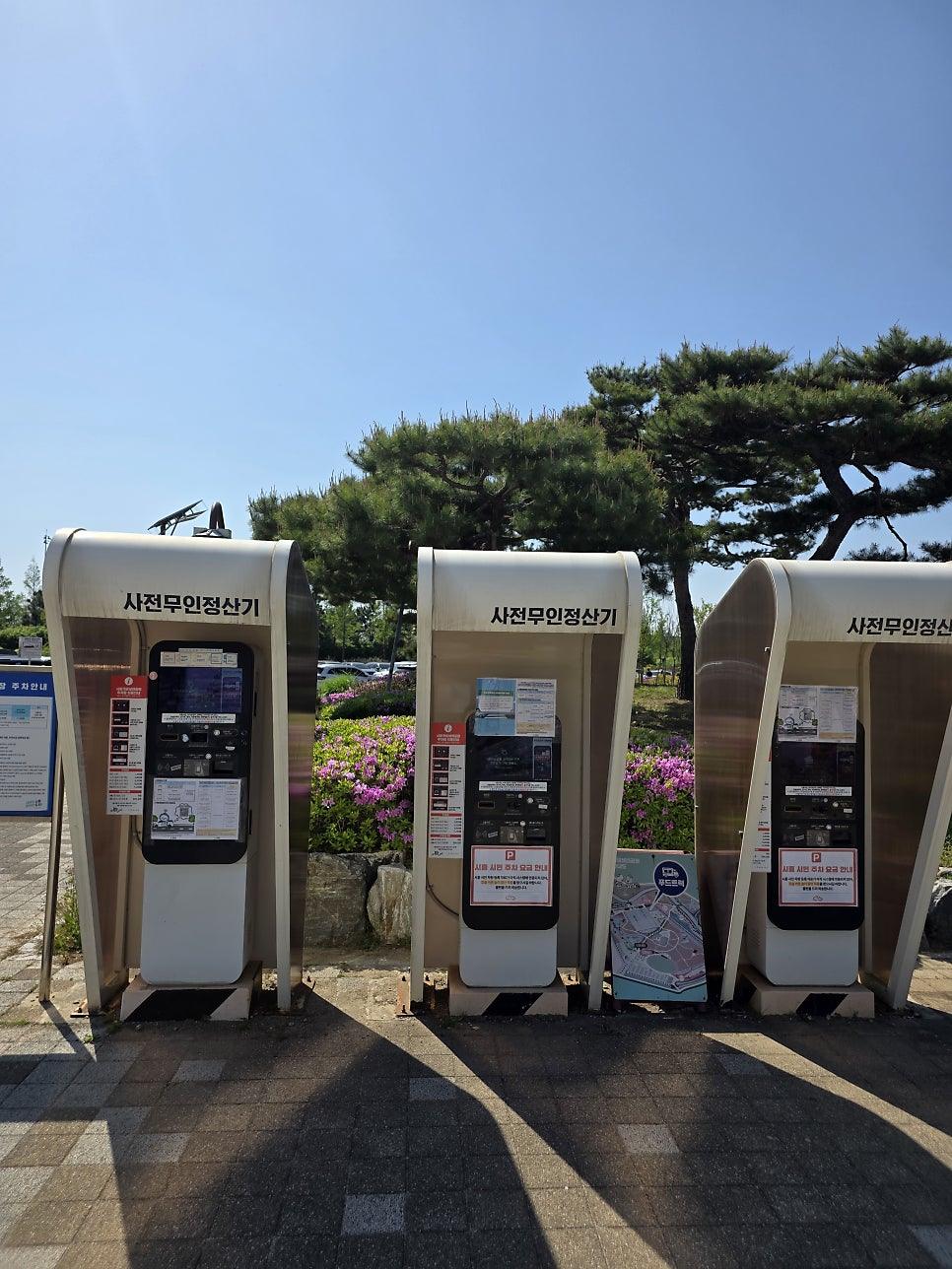 차량 이동 중 바라본 풍경
