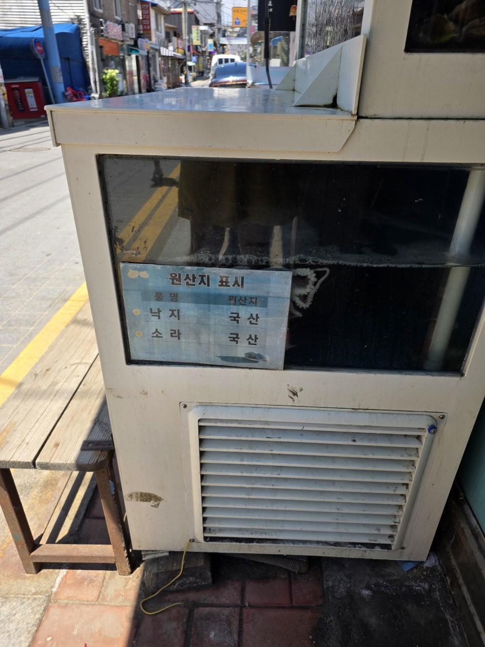 제부도 앞바다에서 당일 직접 잡아올린 무척 신선한 뿔낙지의 생생한 질감