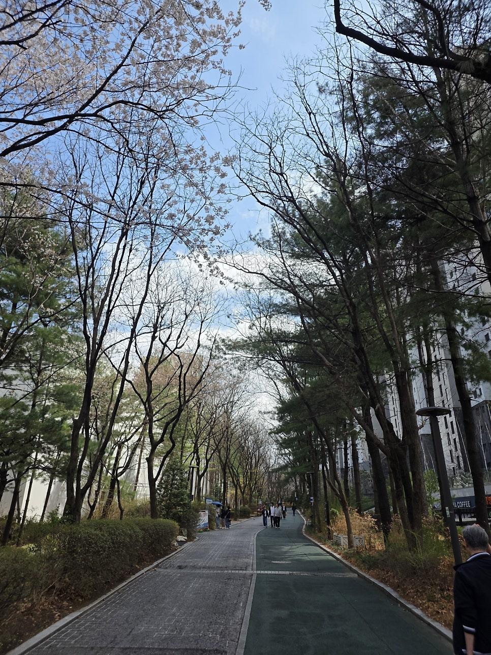 서울대공원 잔디밭 봄의 여유 만끽