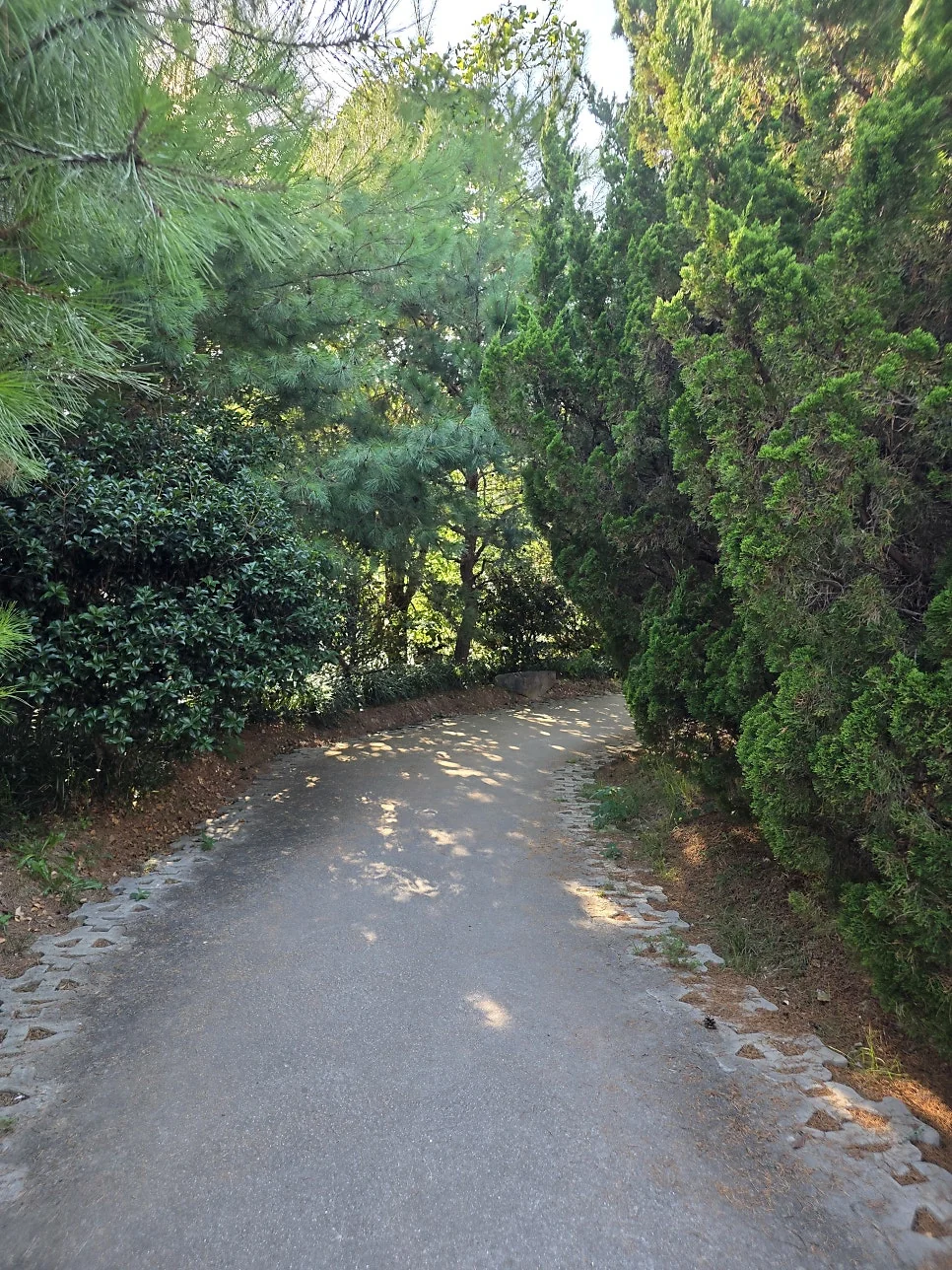베르자르당 입구의 탁 트인 잔디밭 정원