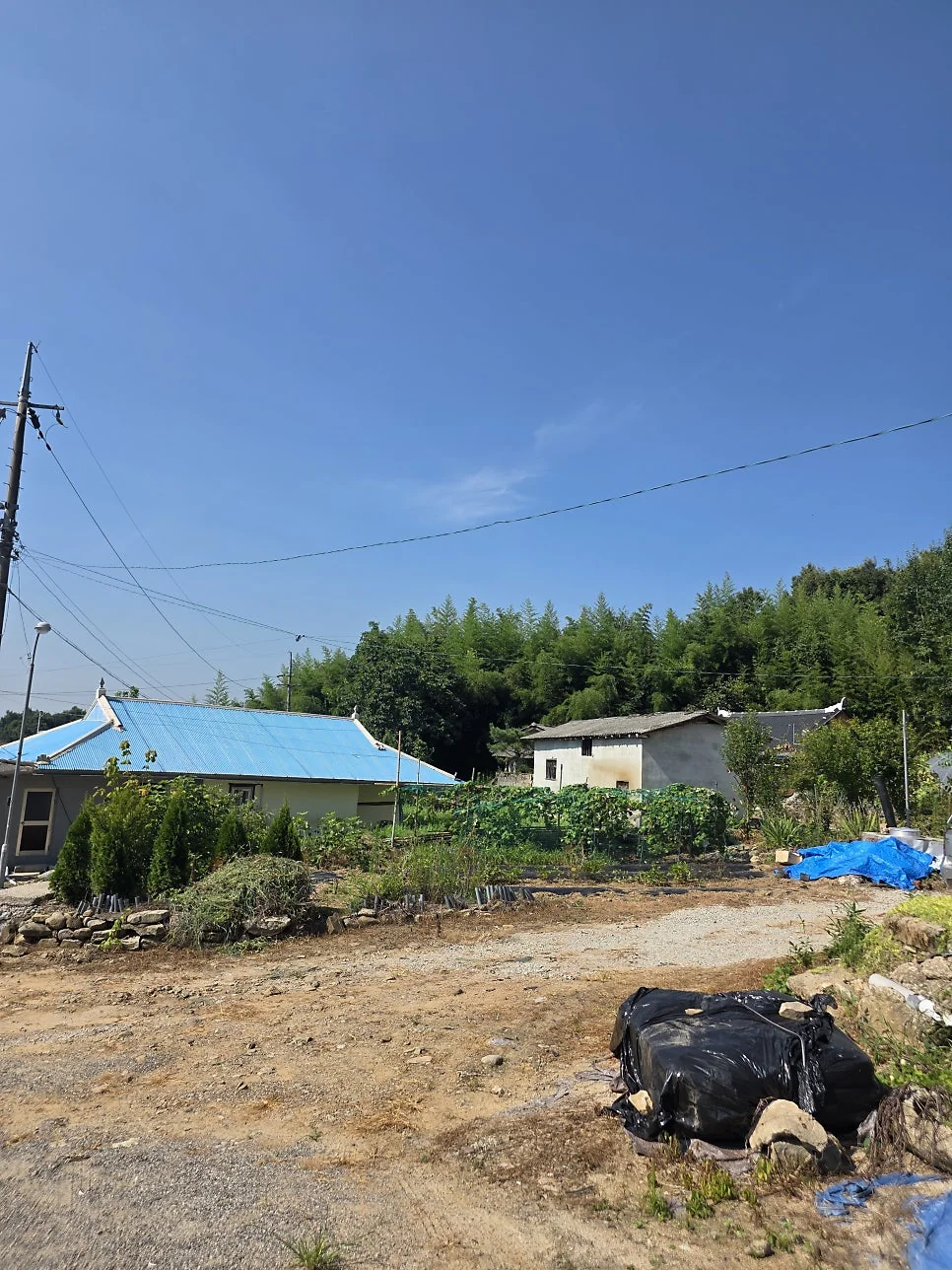 대청마루에서 바라본 평화롭고 고즈넉한 시골 풍경