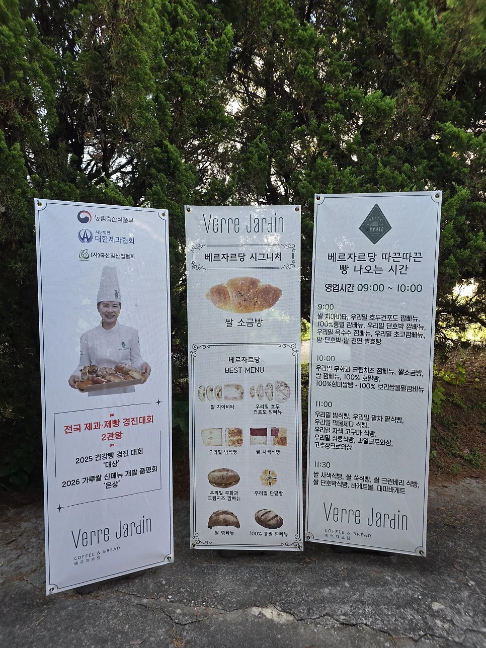 높은 천장과 자연광이 쏟아지는 온실 실내