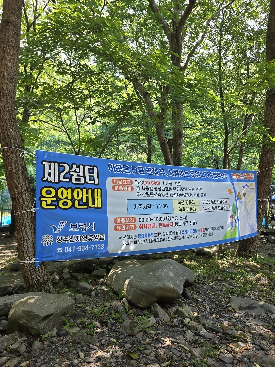 여름날의 완벽한 힐링을 선사하는 휴양림 전경