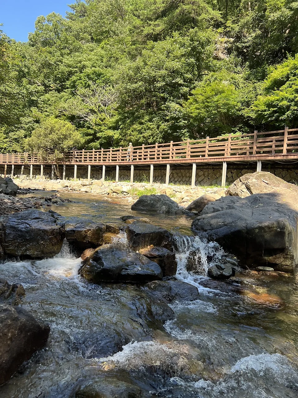 차가운 물에 발을 담그고 휴식을 취하는 모습