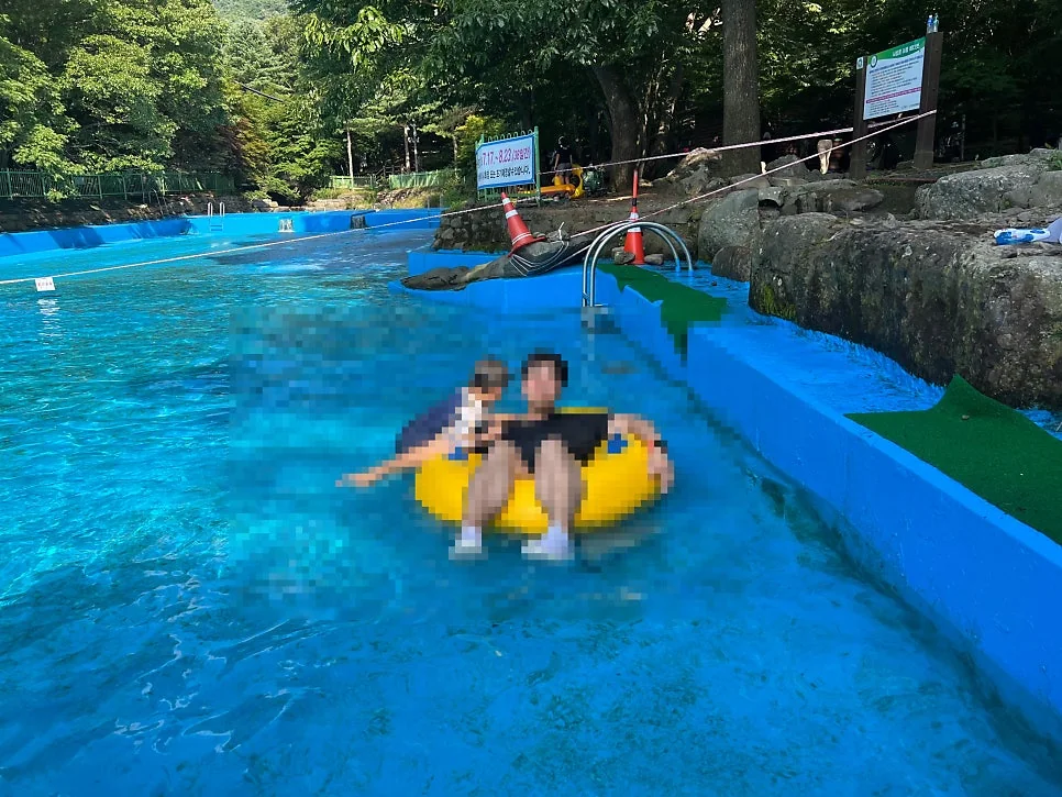 푸른 녹음이 우거진 자연휴양림 산책로 전경