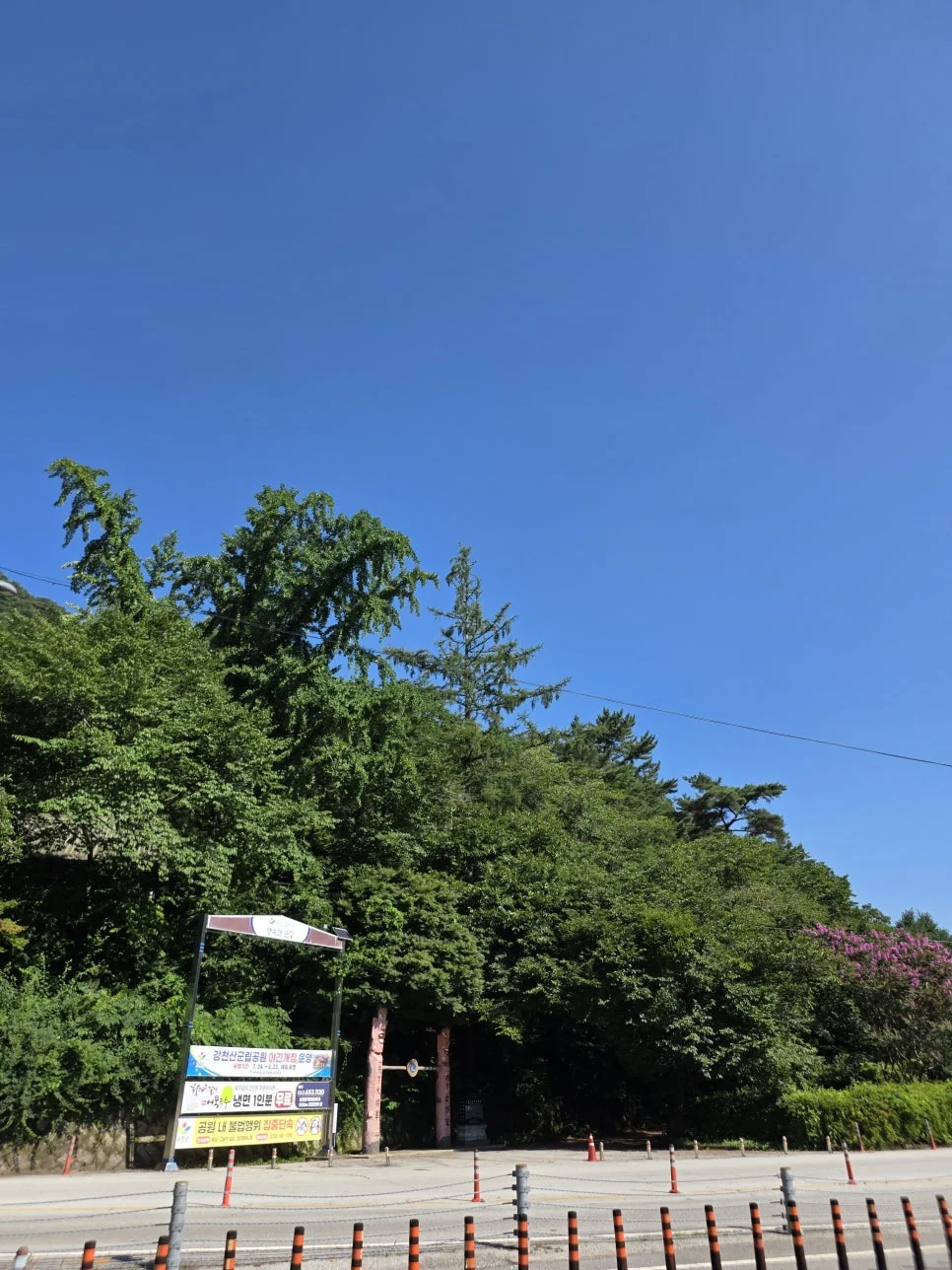 조용히 자연의 소리를 들으며 쉬기 좋은 바위