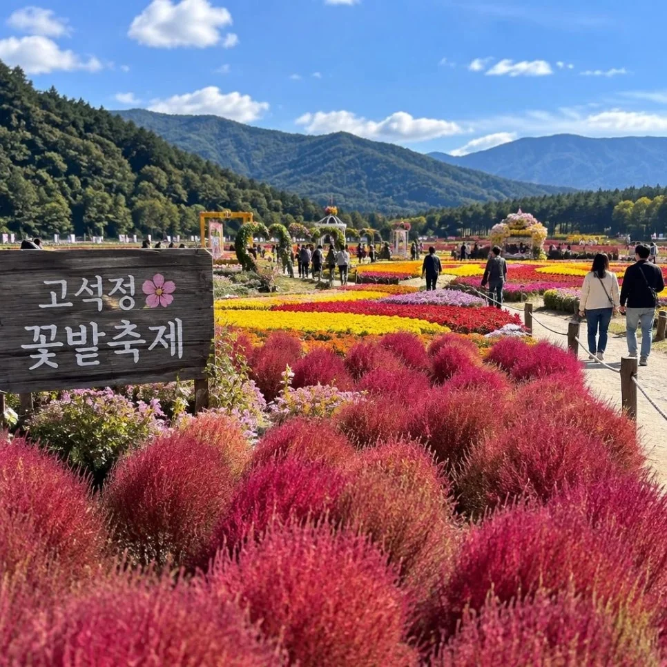 철원 당일치기 여행 코스로 추천하는 한탄강 은하수교의 멋진 절경입니다.
