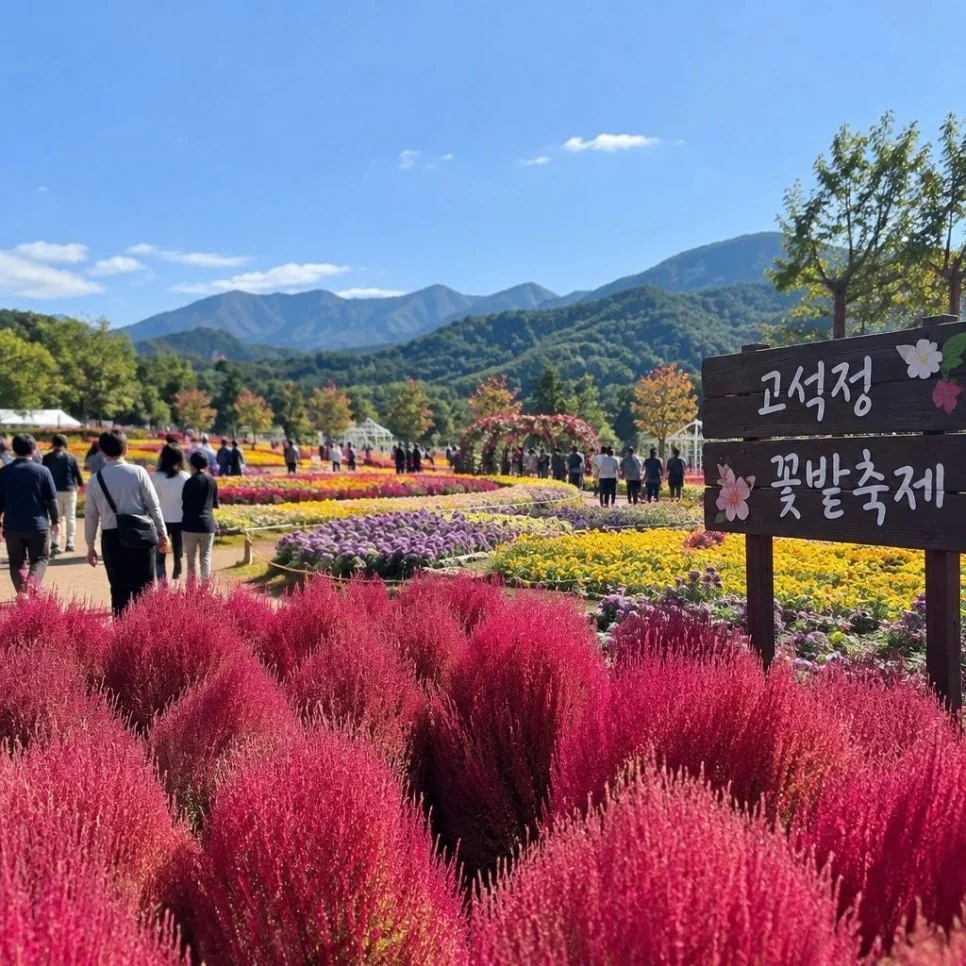 가족들과 함께 걷기 좋은 철원 고석정 꽃밭의 산책로 모습입니다.