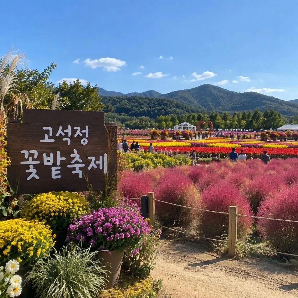 가을 햇살 아래 만개한 코스모스와 천일홍이 가득한 꽃밭 풍경입니다.